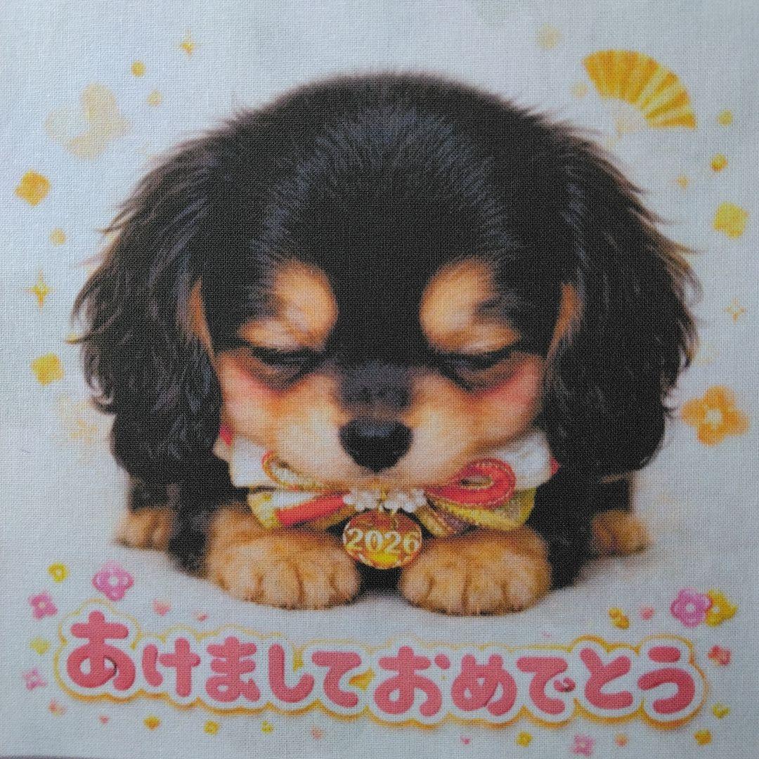 ☆受付☆ダックス No.A