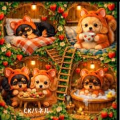 ☆受付☆ダックス No.A