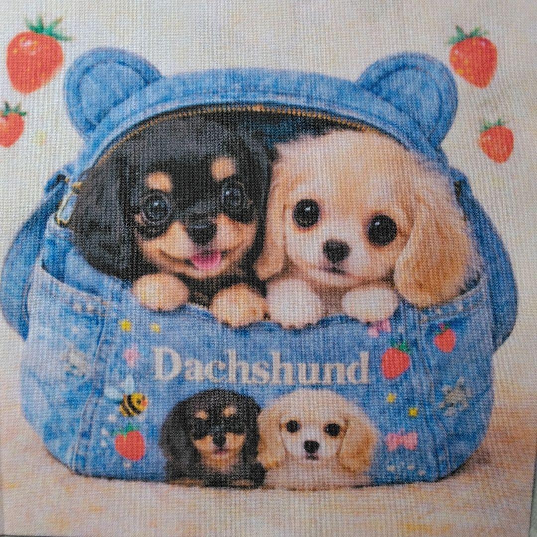 ☆受付☆ダックス No.A