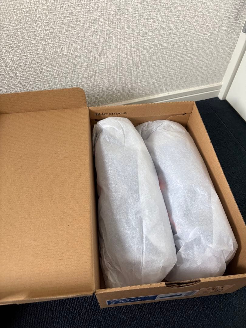 ミズノ　安全靴　オールマイティLS2 11L