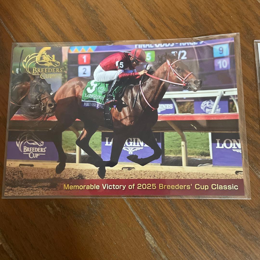 JRAフォーエバーヤング非売品キャップ、ポストカード2枚、レープロ