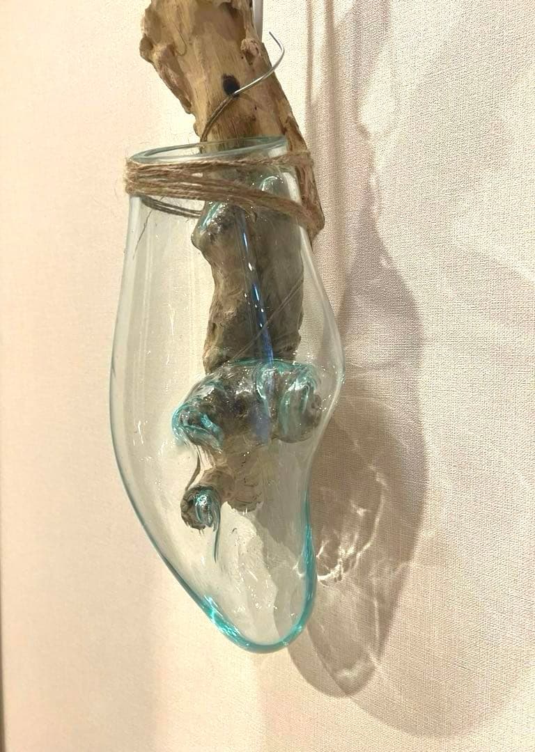 流木ガラス　インテリア【E】　ウォールディスプレイ