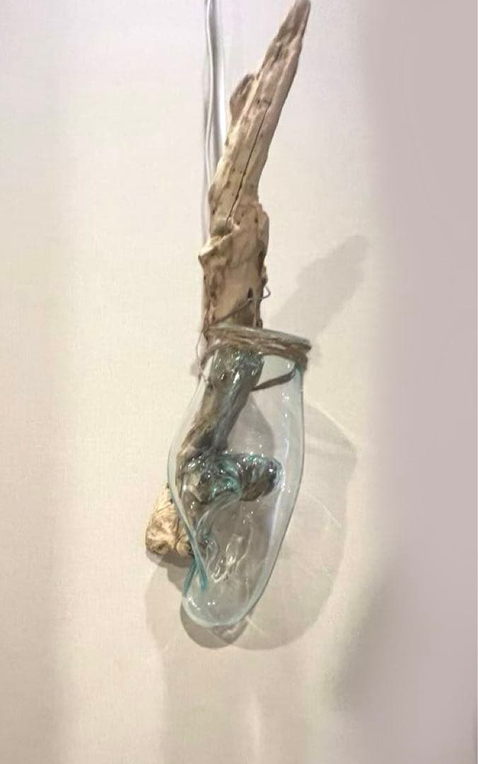 流木ガラス　インテリア【E】　ウォールディスプレイ