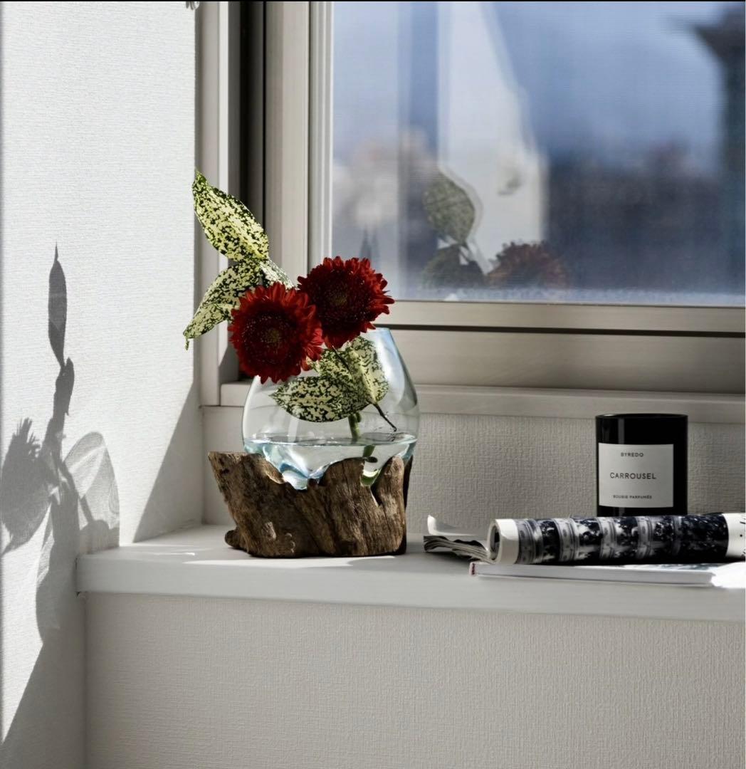 流木ガラス　インテリア【E】　ウォールディスプレイ