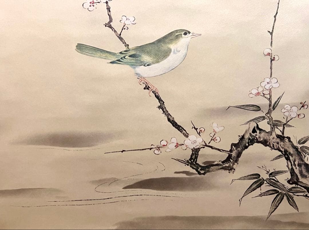 狩野探幽 守信「梅に鶯」掛軸 掛け軸 複製工芸 ウグイス 春 日本画