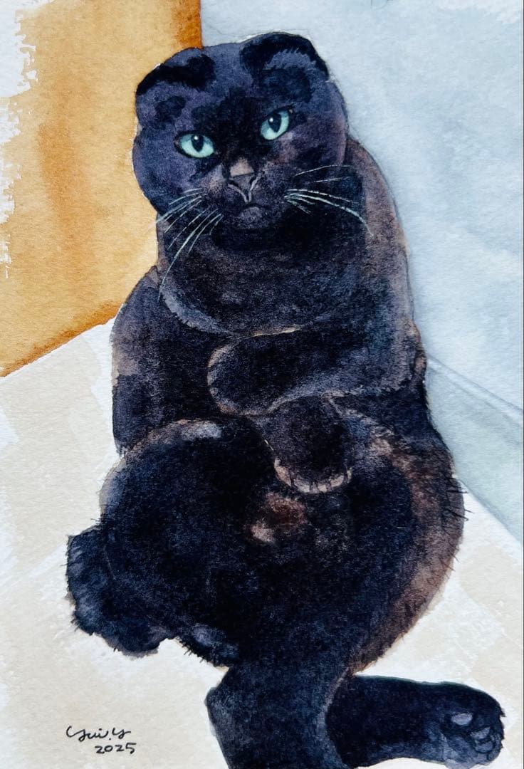 カプリ345ページ