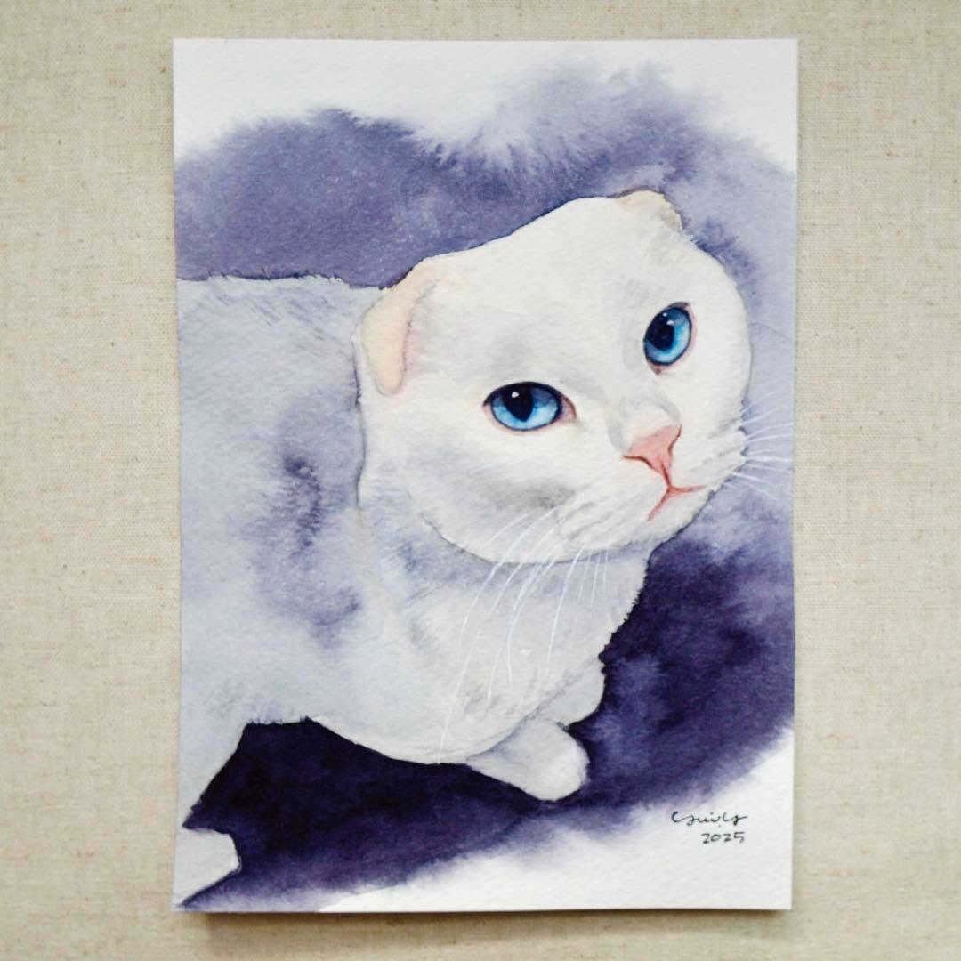 カプリ345ページ