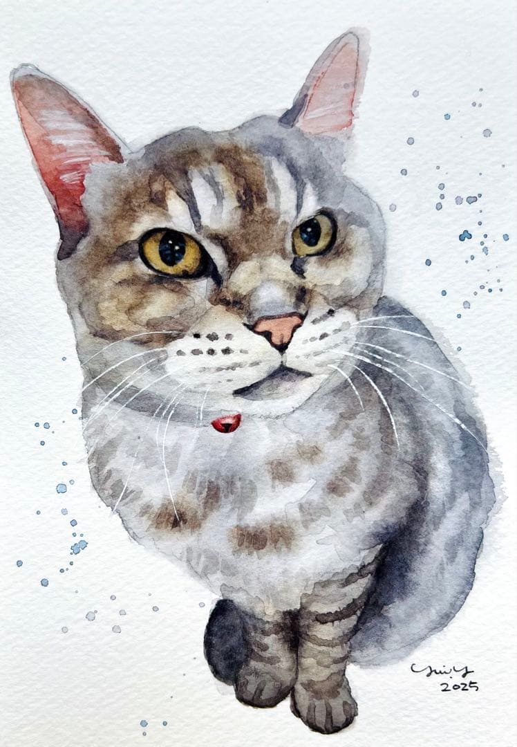 カプリ345ページ