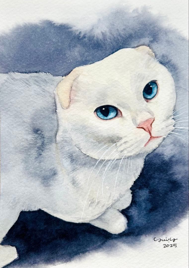 カプリ345ページ