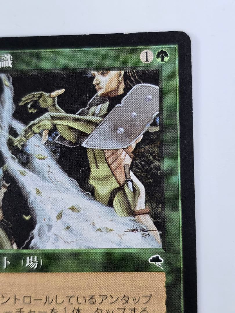 MTG 《大地の知識/Earthcraft》[TMP] 日本語