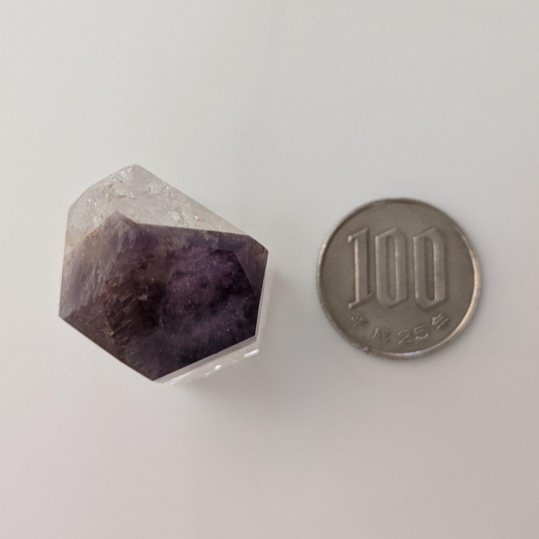 希少☆超高品質☆ドリームコートレムリアン