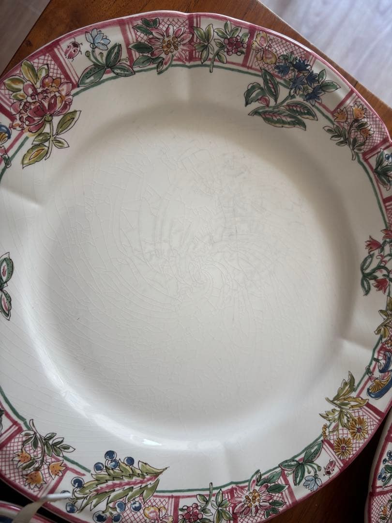 ジアン Gien / Jardin imaginaire 大皿　30cm ５枚