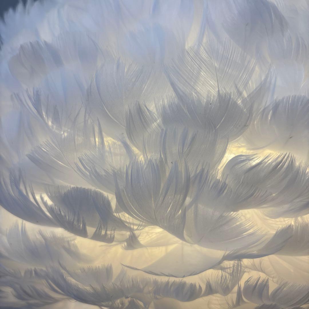 UMAGE ガチョウ羽毛ペンダントライトVITA 