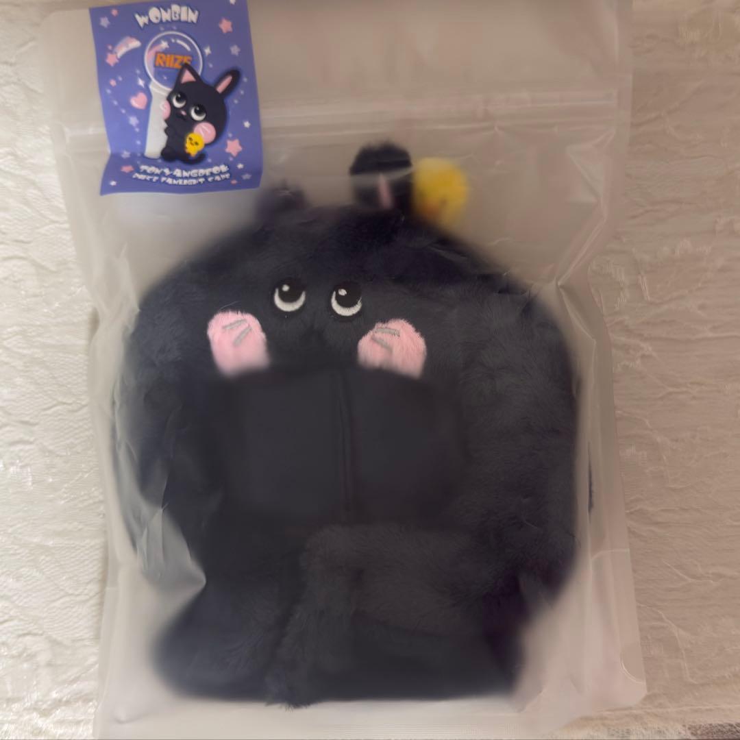 RIIZE ウォンビン トニャンドク ペンライトカバー - メルカリ