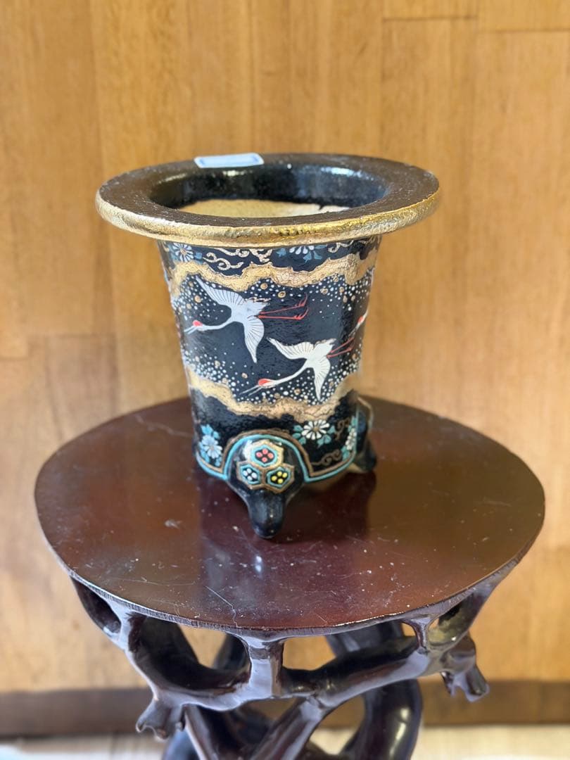 布施覚　万年青鉢　オモト　万年青　5鉢まとめ