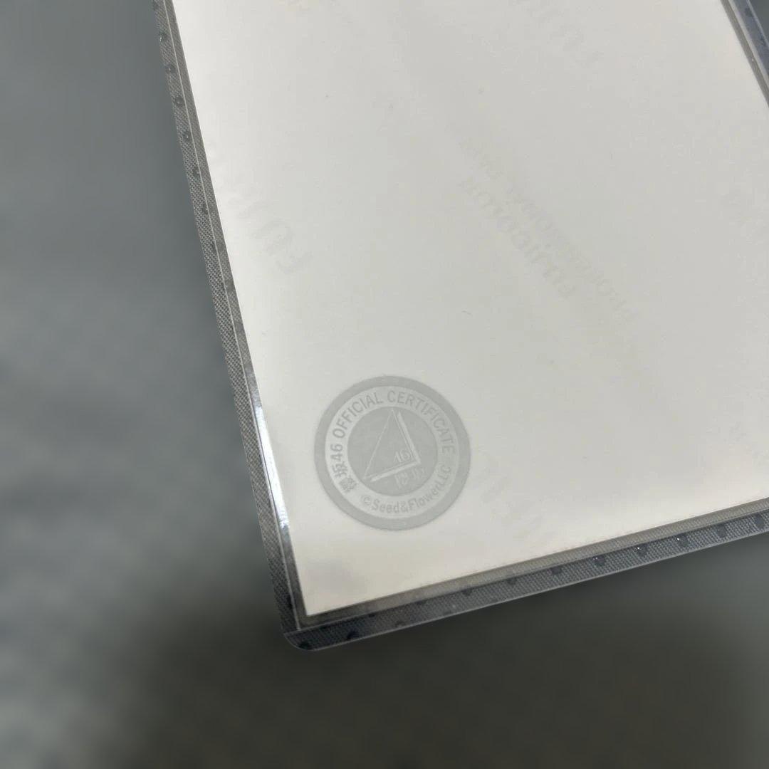 美しく青いそら 1月1日まで