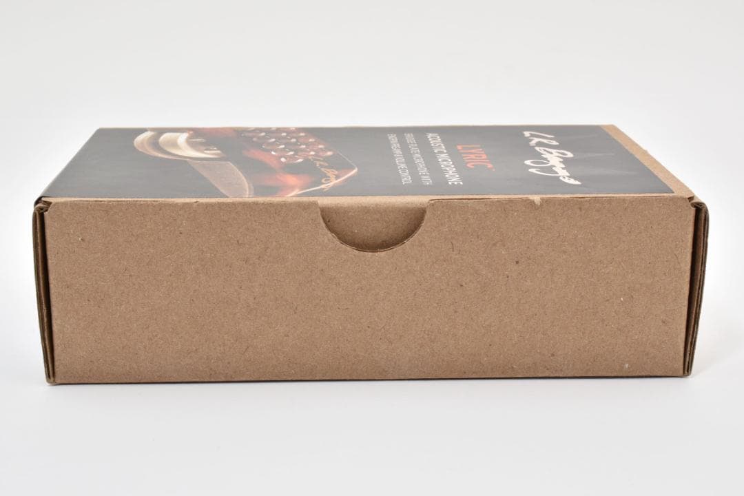 新品 未使用 L.R.Baggs Lyric ACOUSTIC