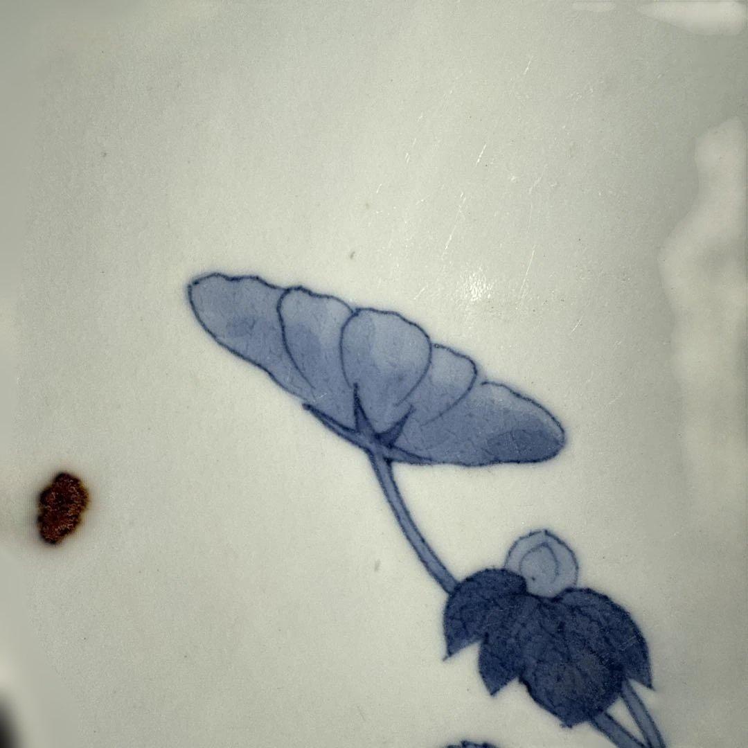 後期鍋島　染付芙蓉文中皿　六客　江戸後期〜明治初期　同手図録掲載品　20.7cm