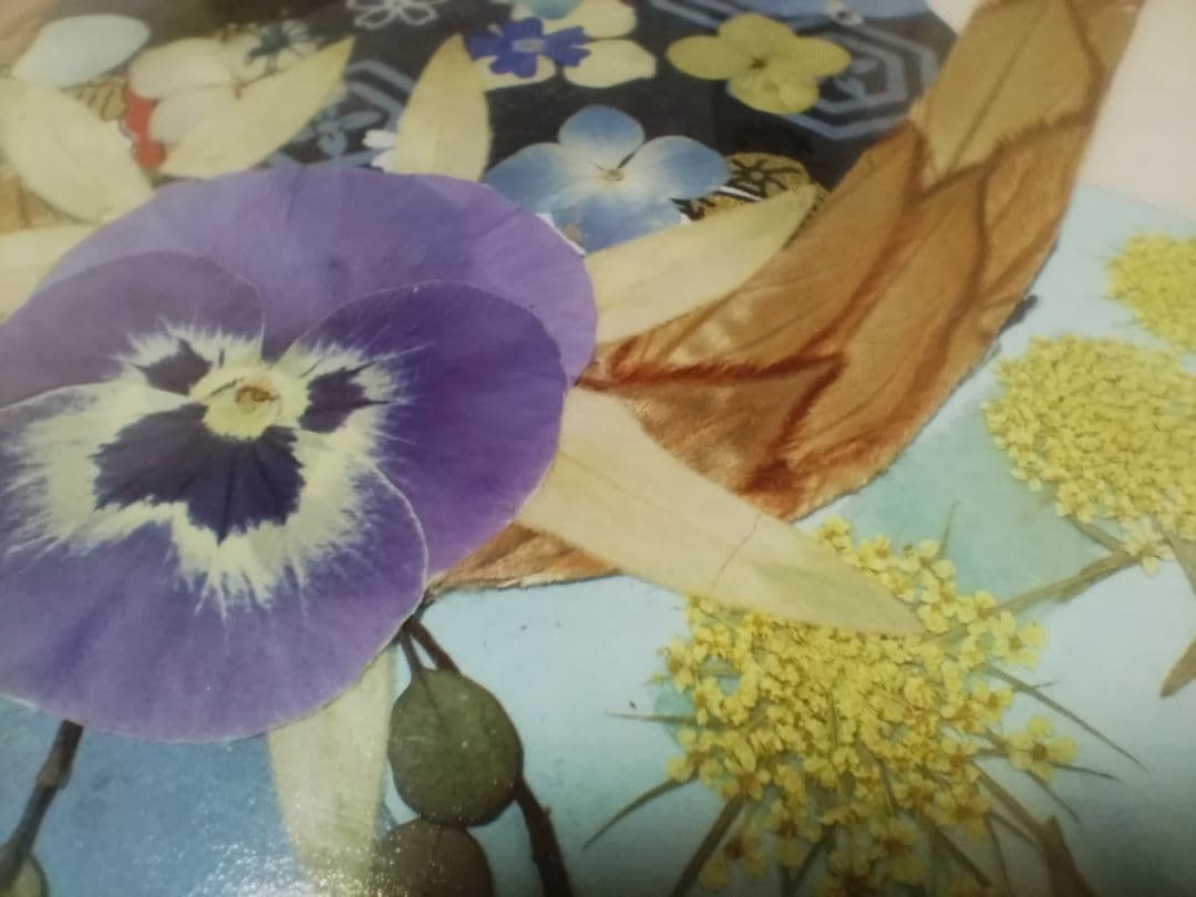 ガラス封入絵（自然植物使用）