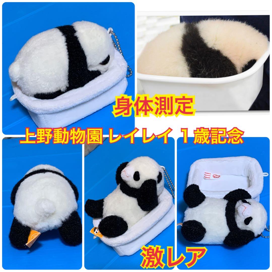 パンダぬいぐるみ 上野動物園 パンダ 蕾蕾 レイレイ マスコット 1歳