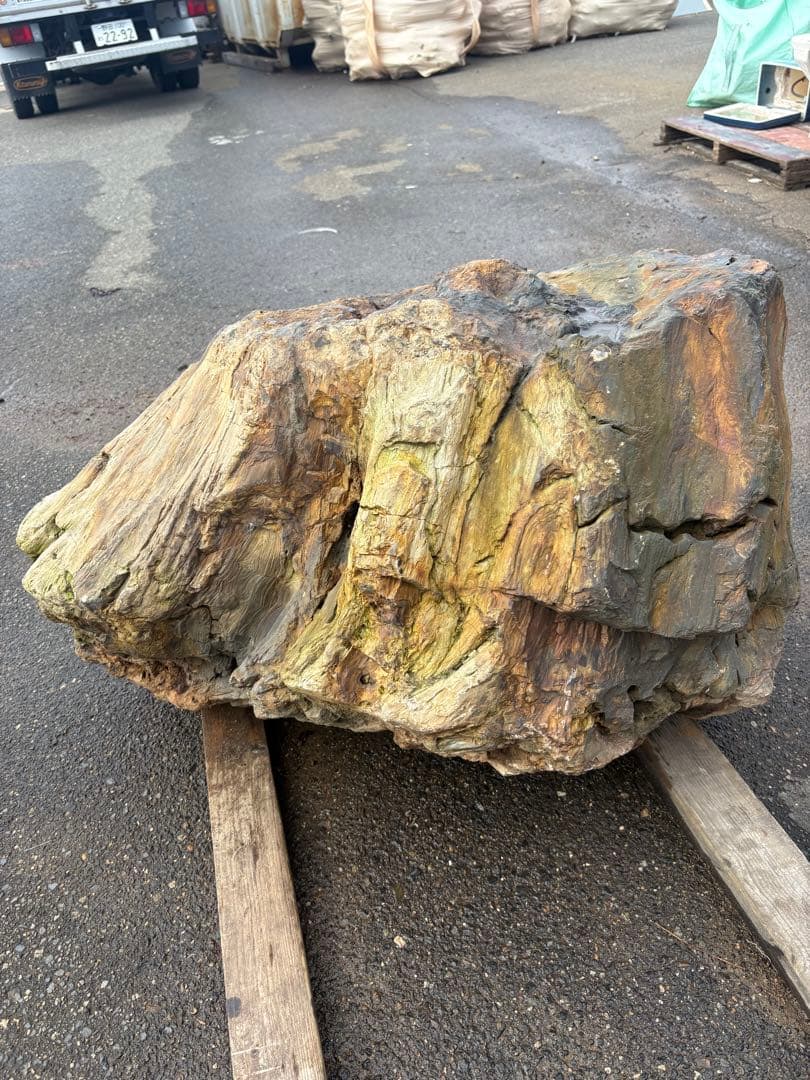 天然木化石 大型庭石 観賞石 オブジェ 90cm級