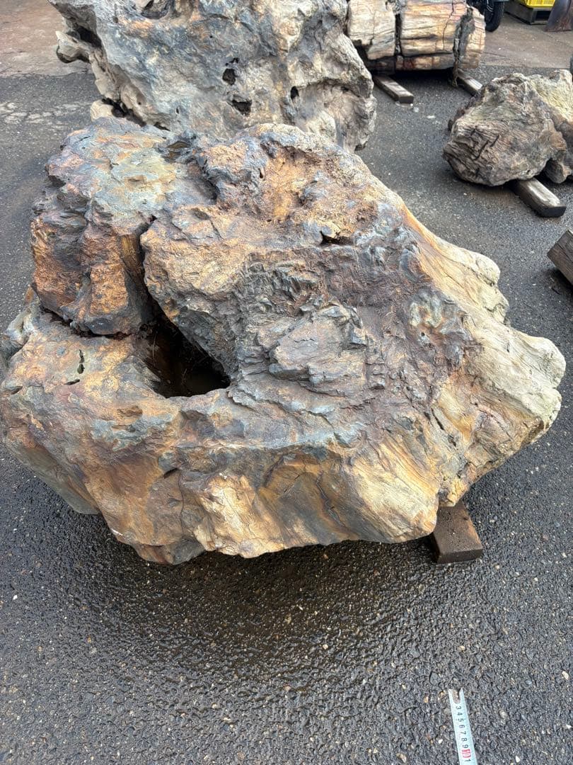 天然木化石 大型庭石 観賞石 オブジェ 90cm級
