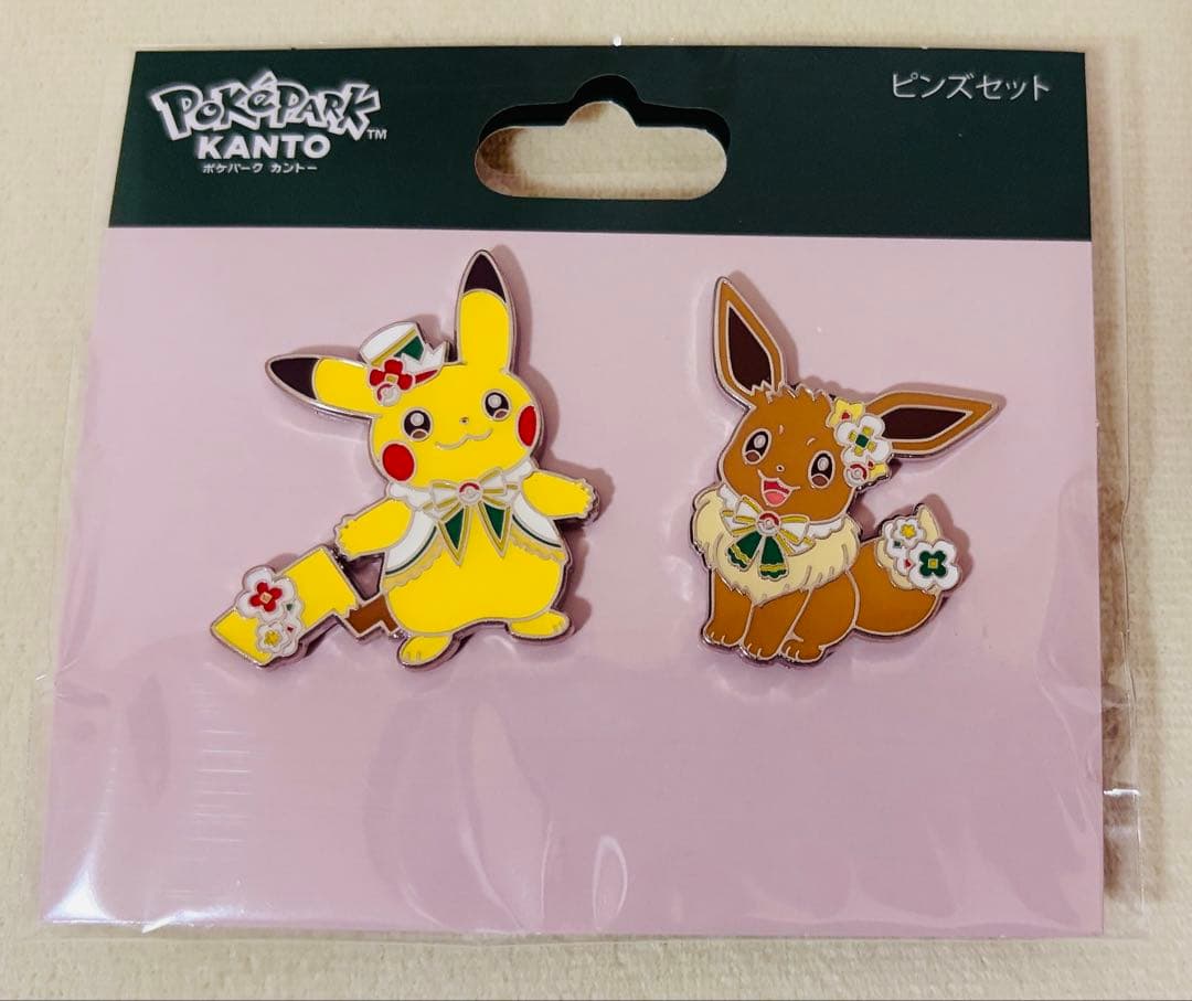 ポケパーク KANTO ピカチュウ イーブイ ピンズセット ポケパーク
