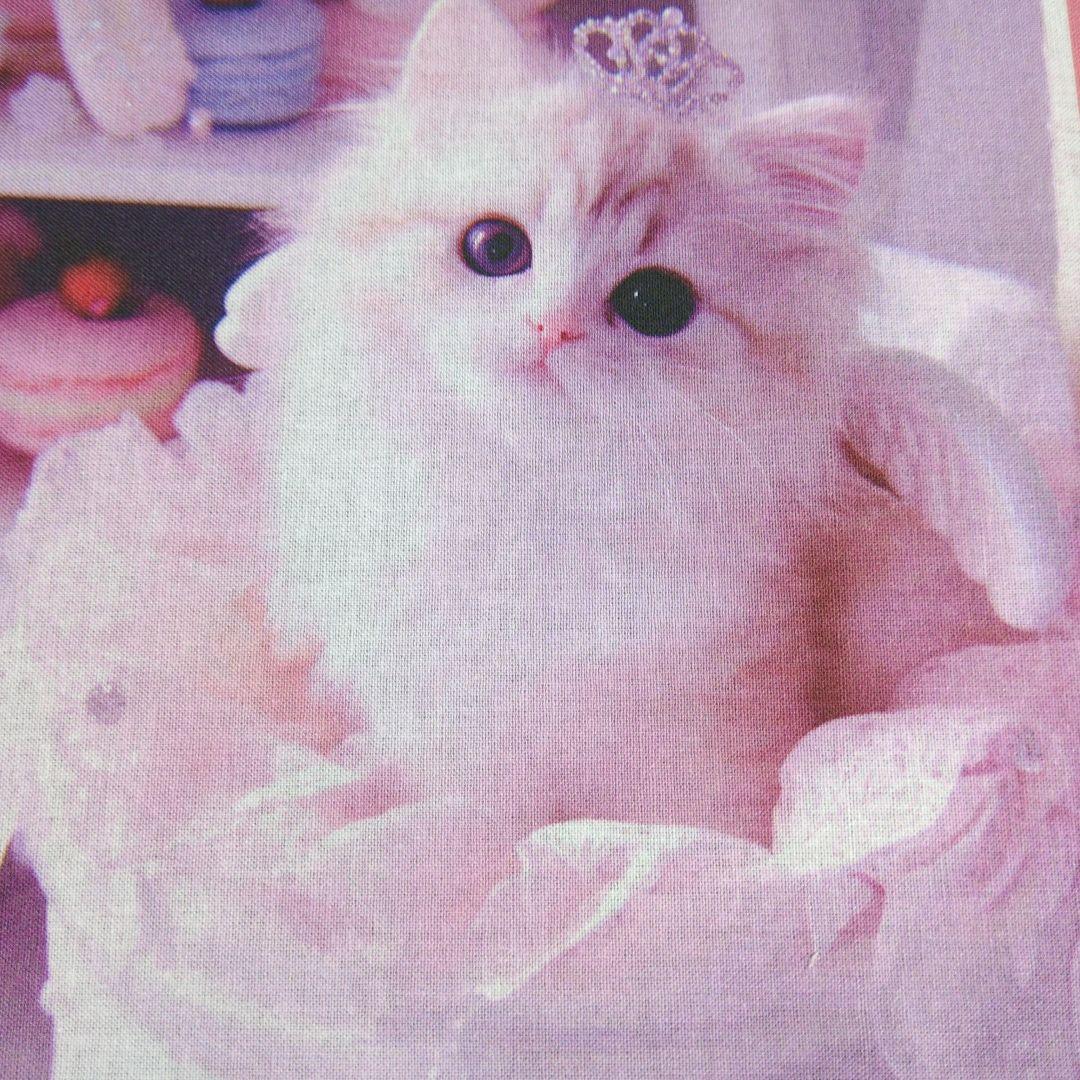 ③在庫処分品 可愛い猫ちゃんパネル生地6枚です。 - メルカリ