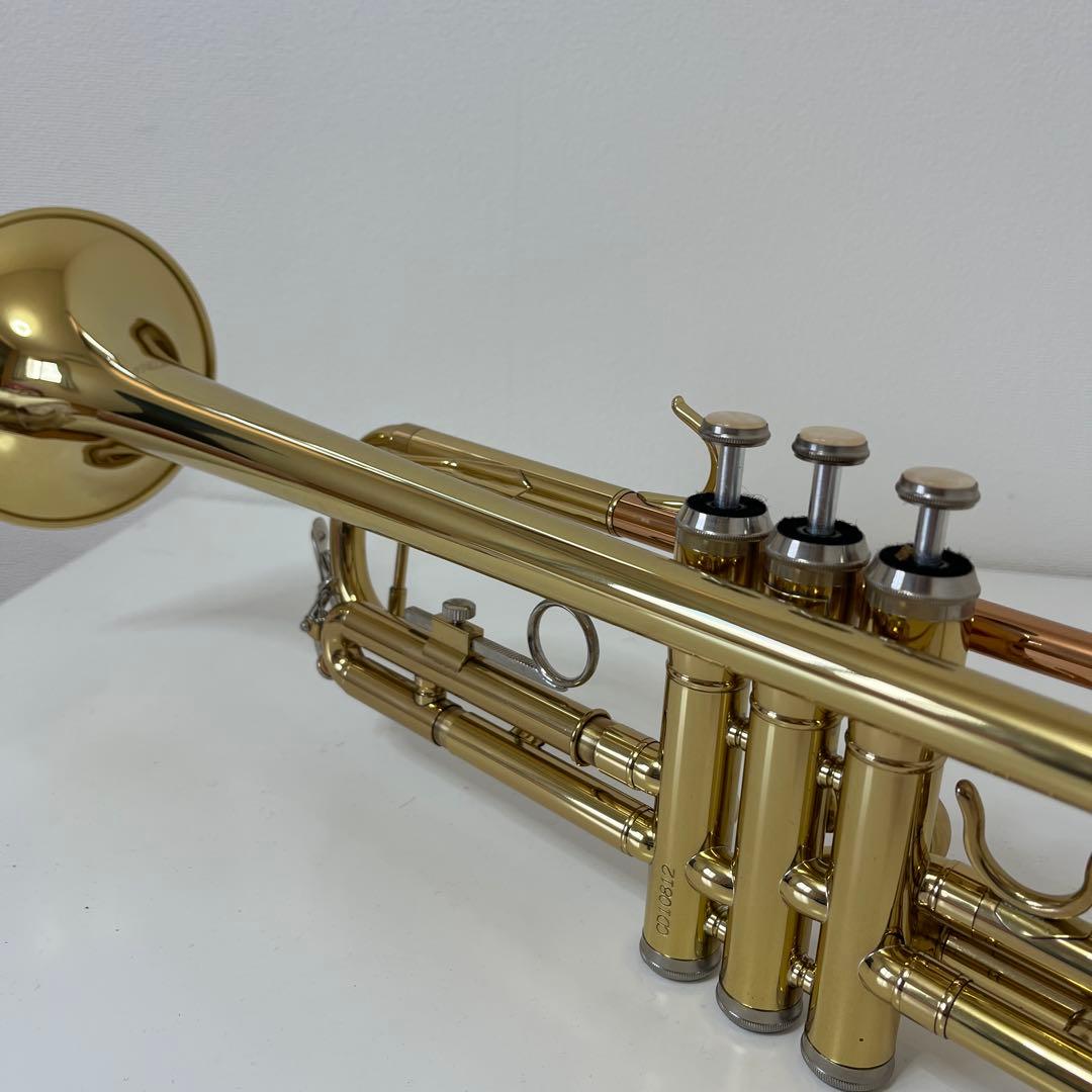 トランペット　1919-05-1