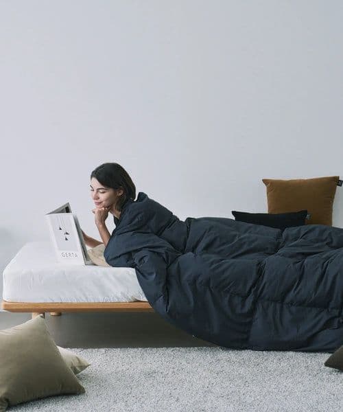 TAION ルームダウン 超軽量 800FP 羽毛布団 セミダブル