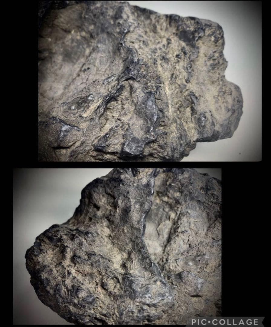 5041 瀬田川蓬巣立石 ウブ 銘『幽邃の淵』溜まり石 水石骨董 - メルカリ