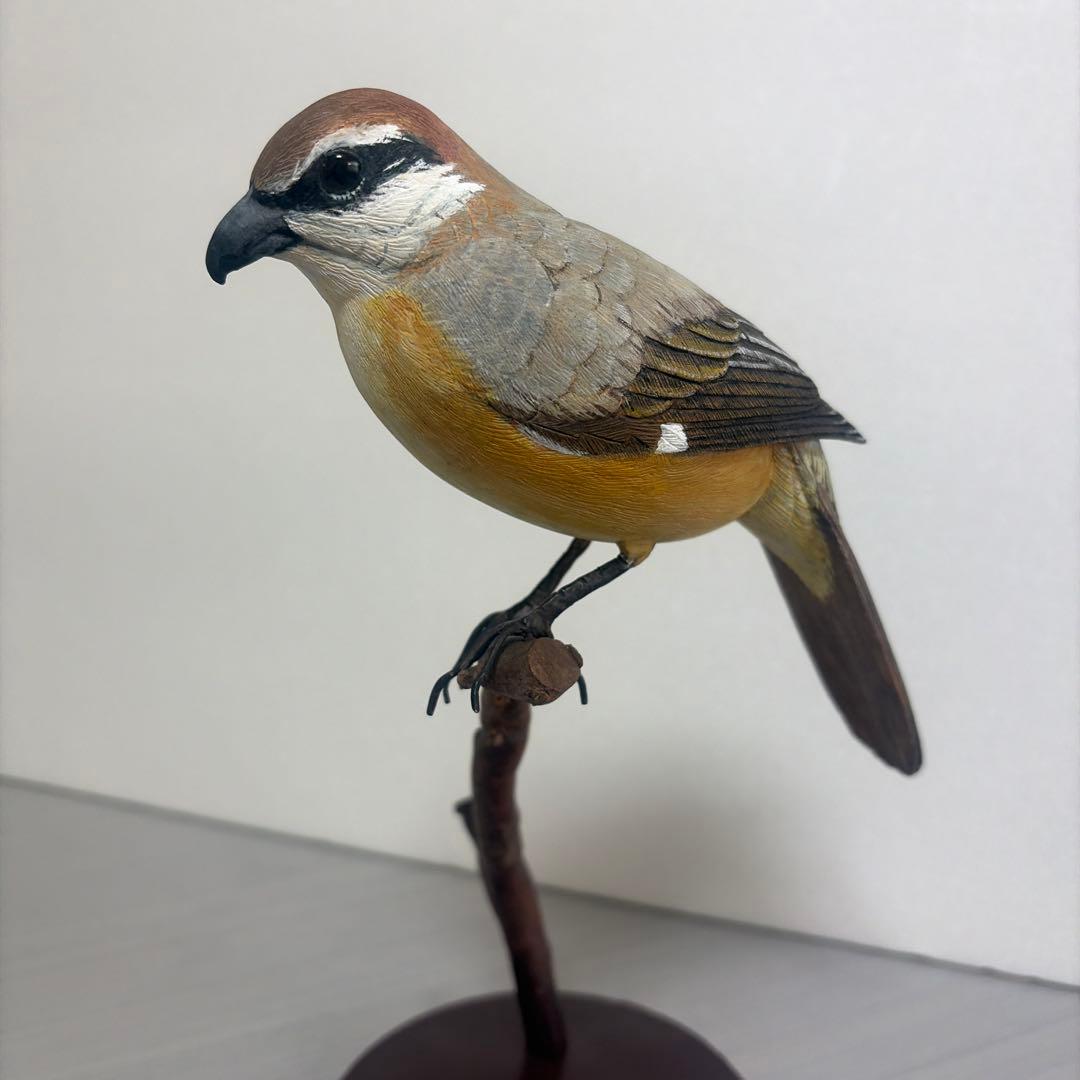 「モズ」　 木彫りの野鳥　リアルバードカービング　野鳥彫刻