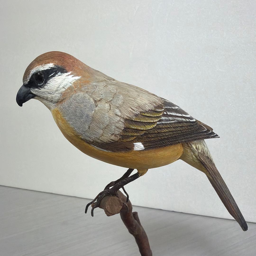 「モズ」　 木彫りの野鳥　リアルバードカービング　野鳥彫刻