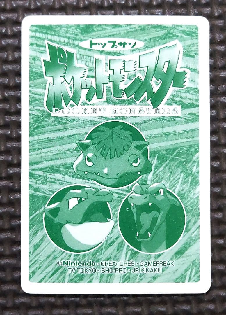 トップサン　リザードン　006