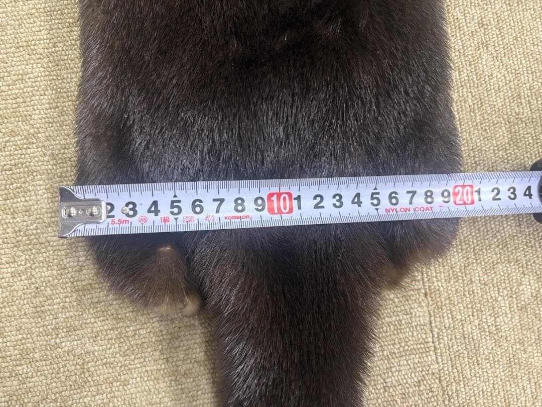 高品質！ カナダカワウソの毛皮（大）1点もの（※登録票は不要）