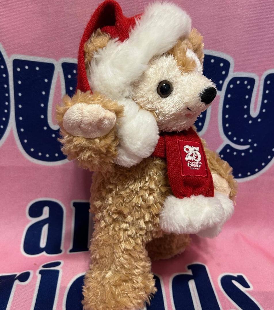 いかさ様専用 ダッフィー ポーチ ぬいぐるみ 25周年&キャンリフ