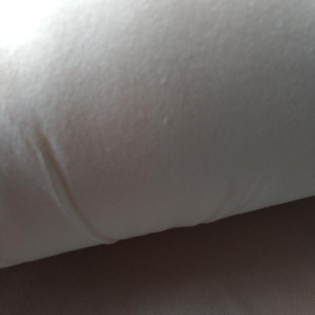 日本成人病予防協会推奨　天然鉱石入式布団　マイナスイオン発生　敷ふとん