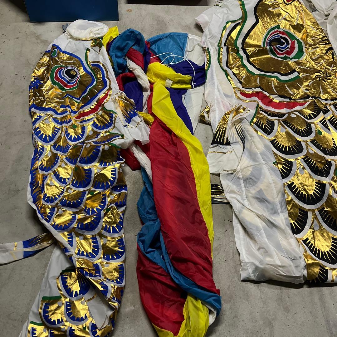 鯉のぼり　5m 黄金