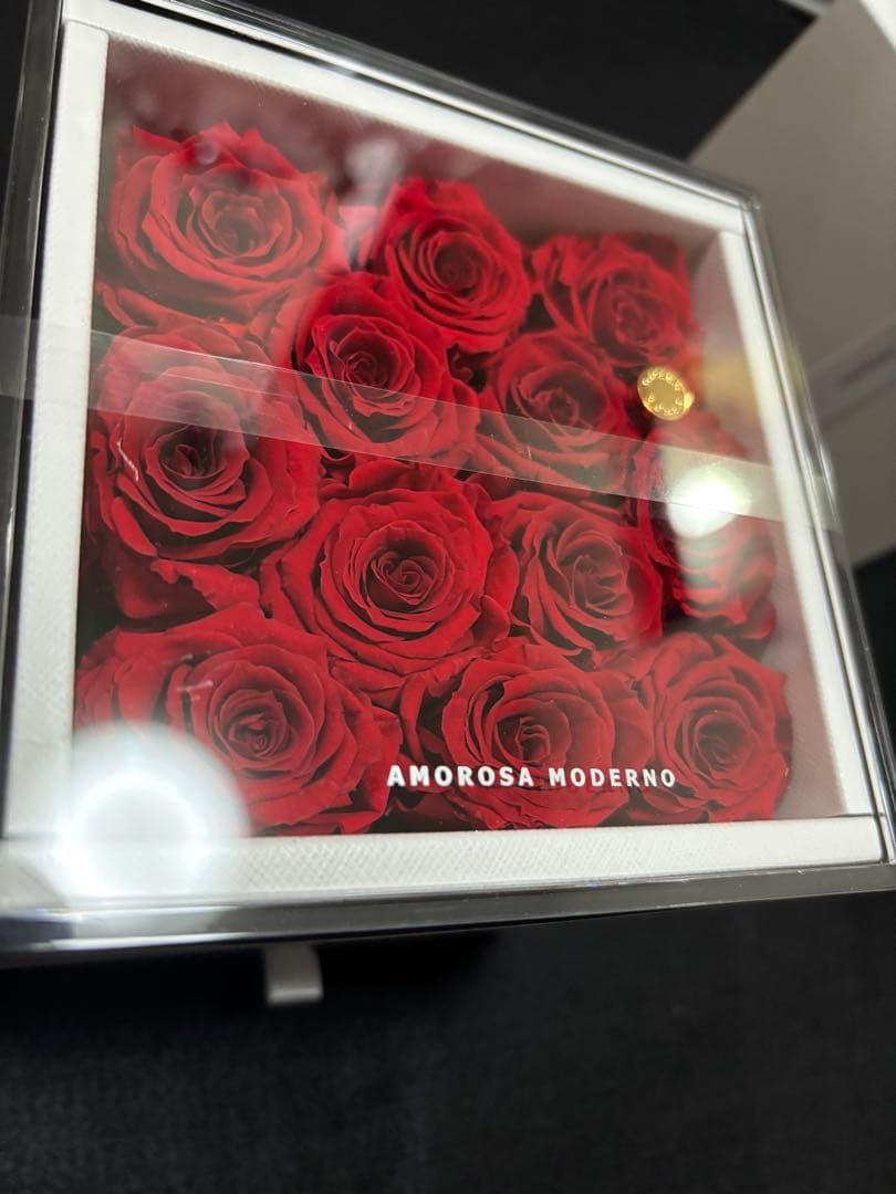 アモローサ　ダーズンローズドゥロアー　ラグジュアリー ブリザード 薔薇 レッド