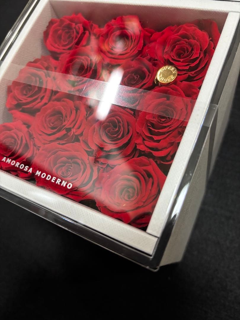 アモローサ　ダーズンローズドゥロアー　ラグジュアリー ブリザード 薔薇 レッド