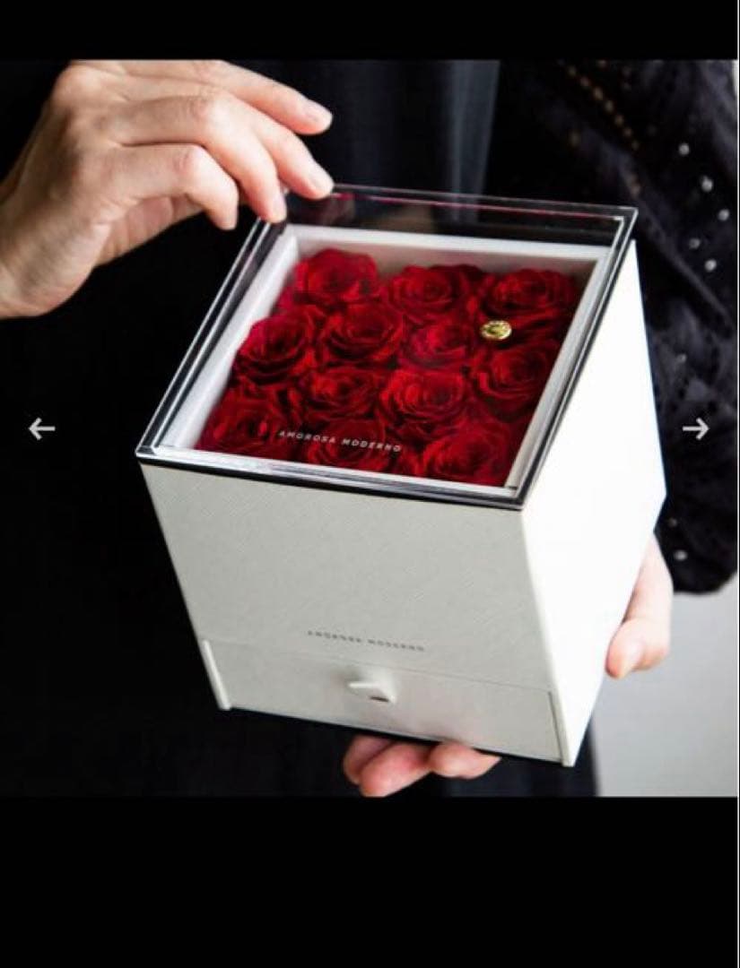 アモローサ　ダーズンローズドゥロアー　ラグジュアリー ブリザード 薔薇 レッド