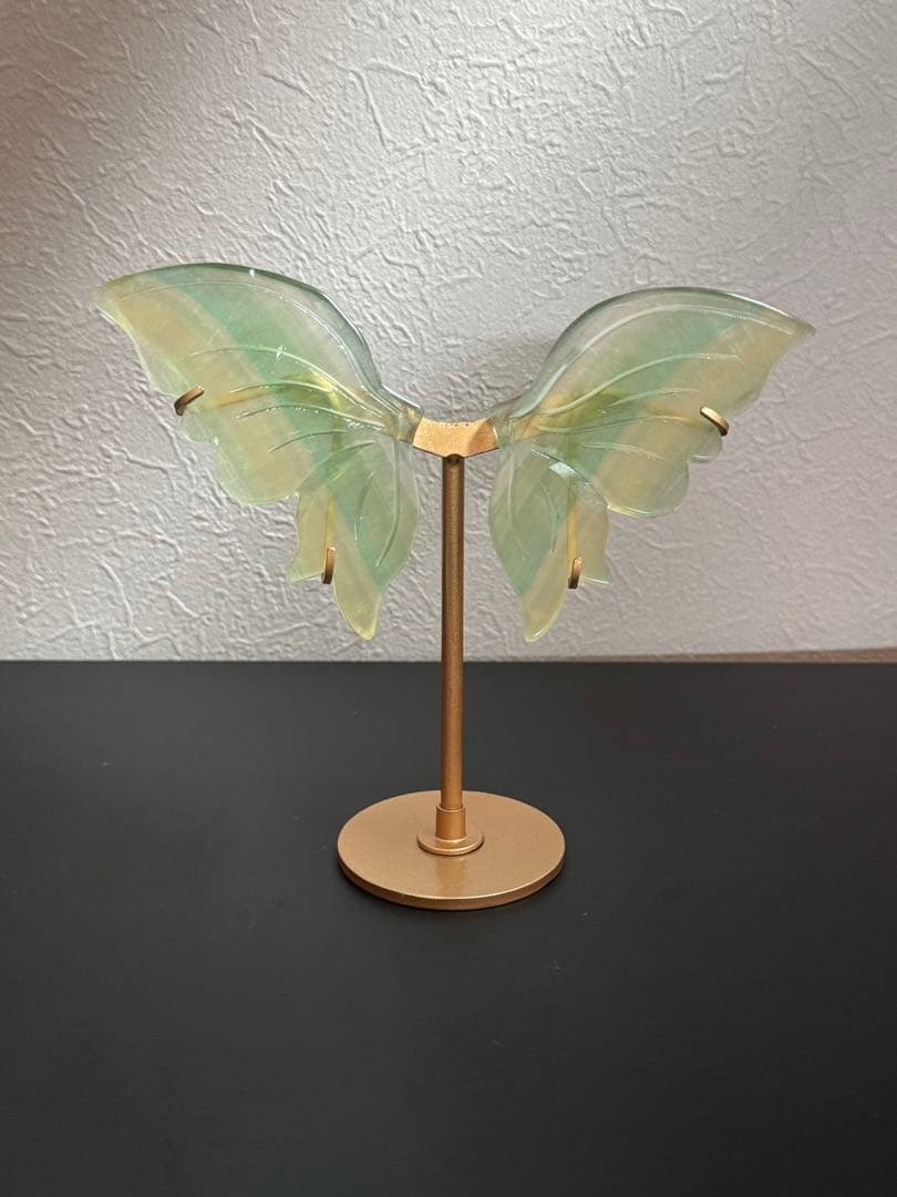 レアカラー ◎高品質 中国産フローライト バタフライウィング