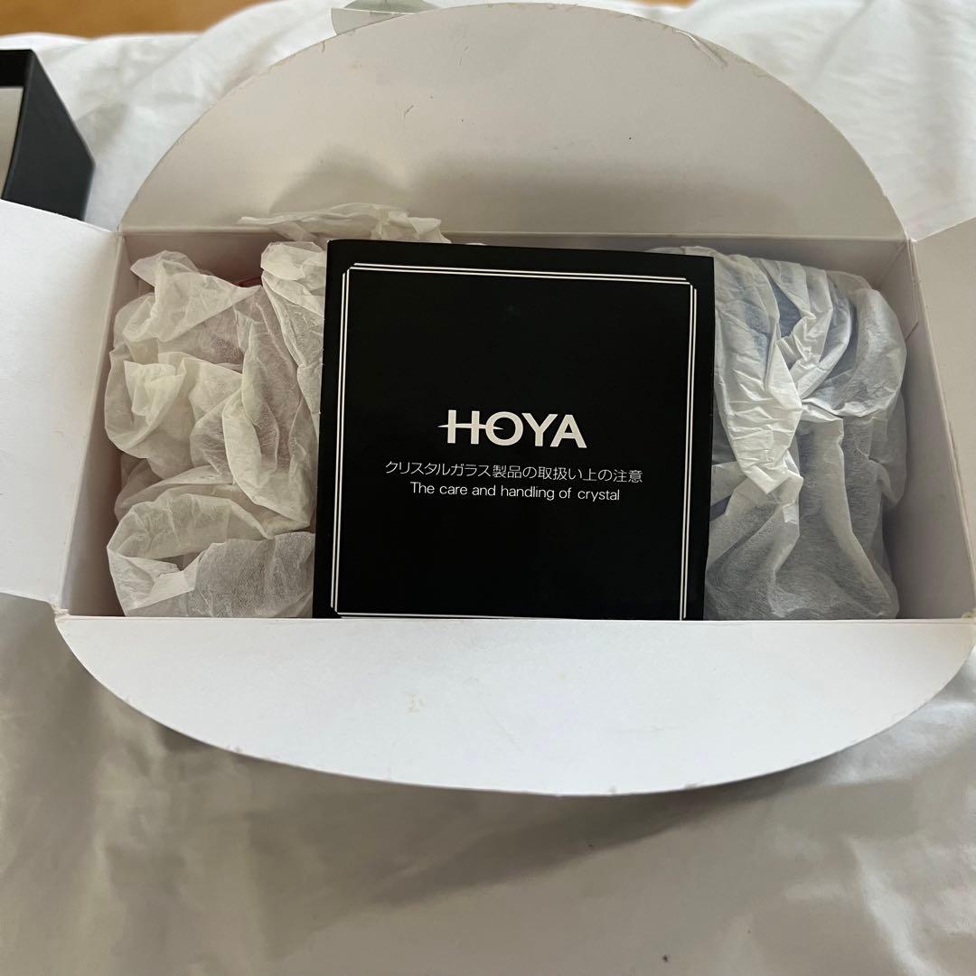 Hoyaクリスタルペアグラス