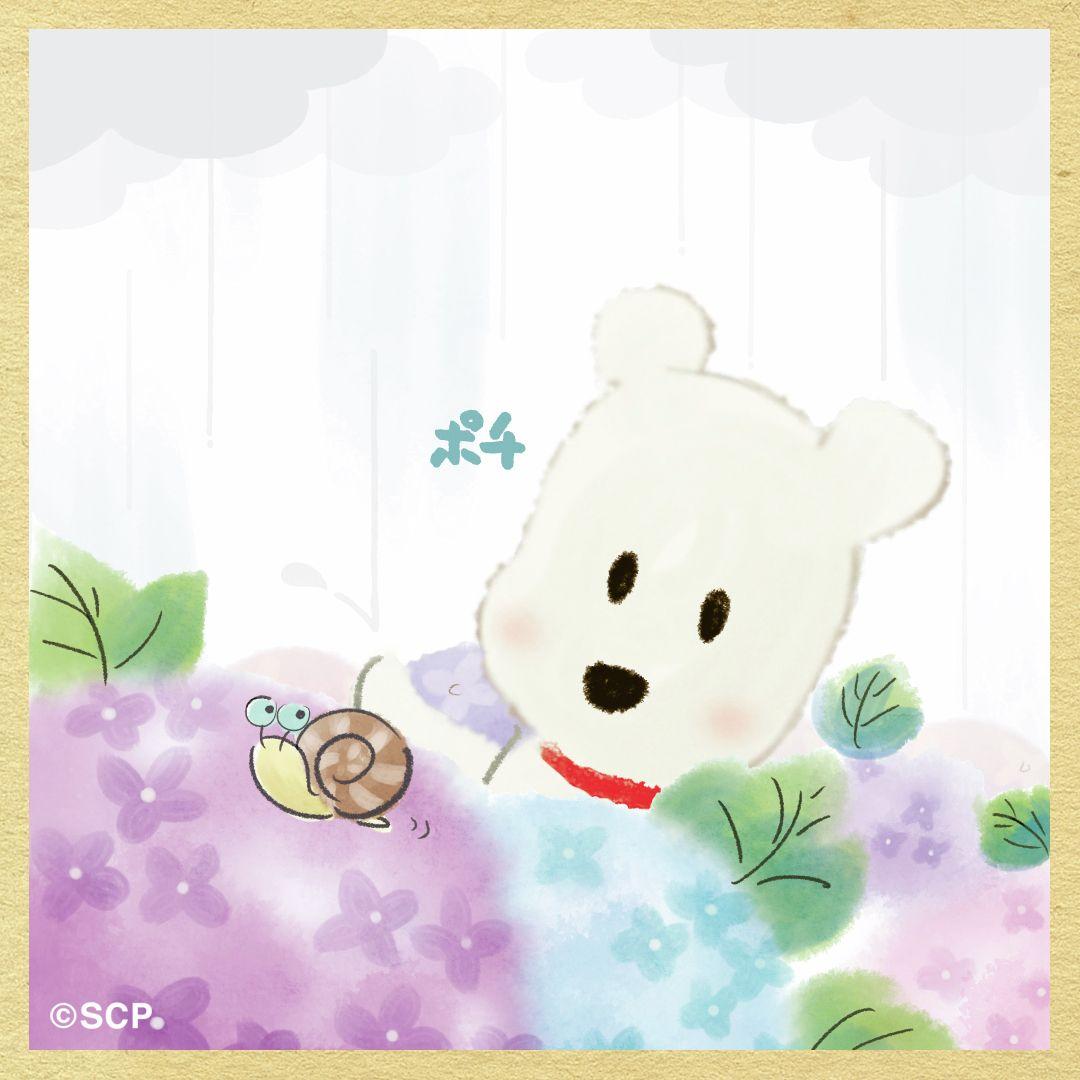 うちのタマしりませんか　正方形3