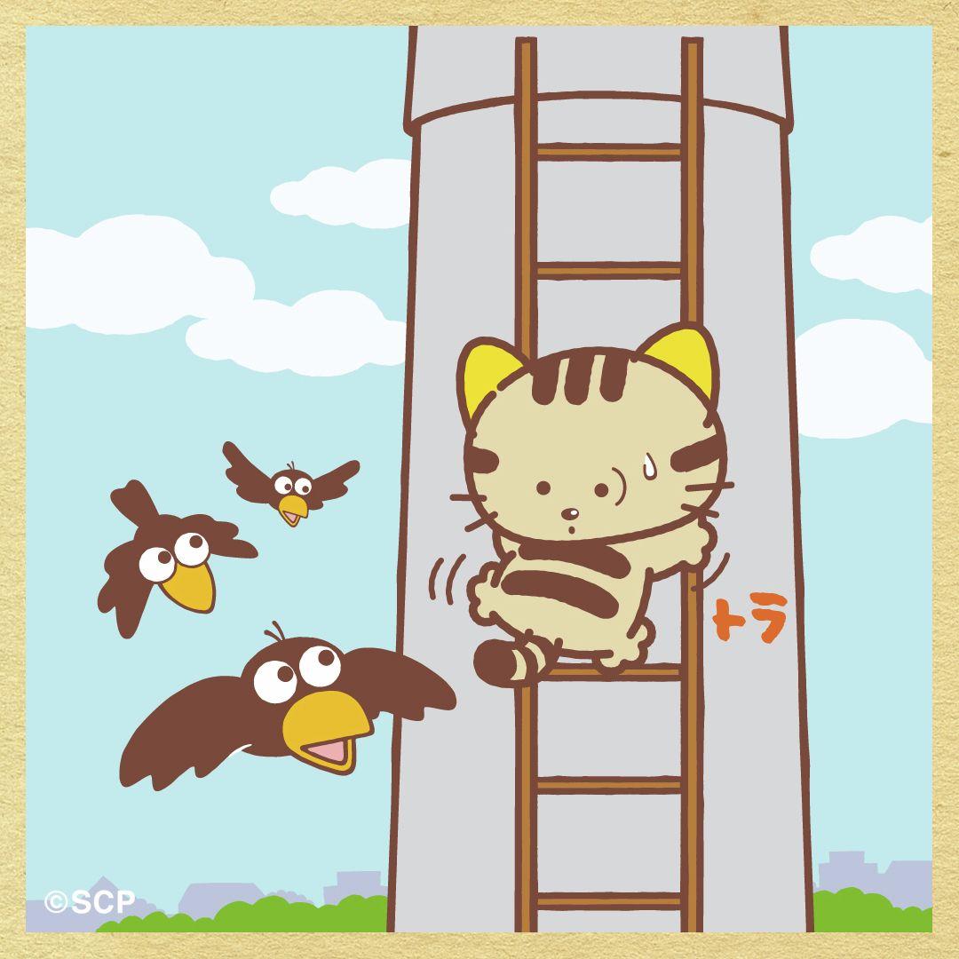 うちのタマしりませんか　正方形3