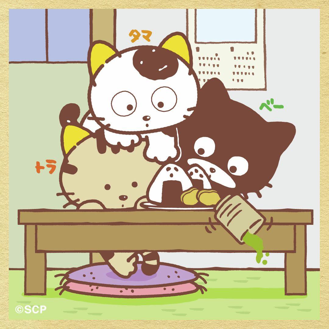 うちのタマしりませんか　正方形3