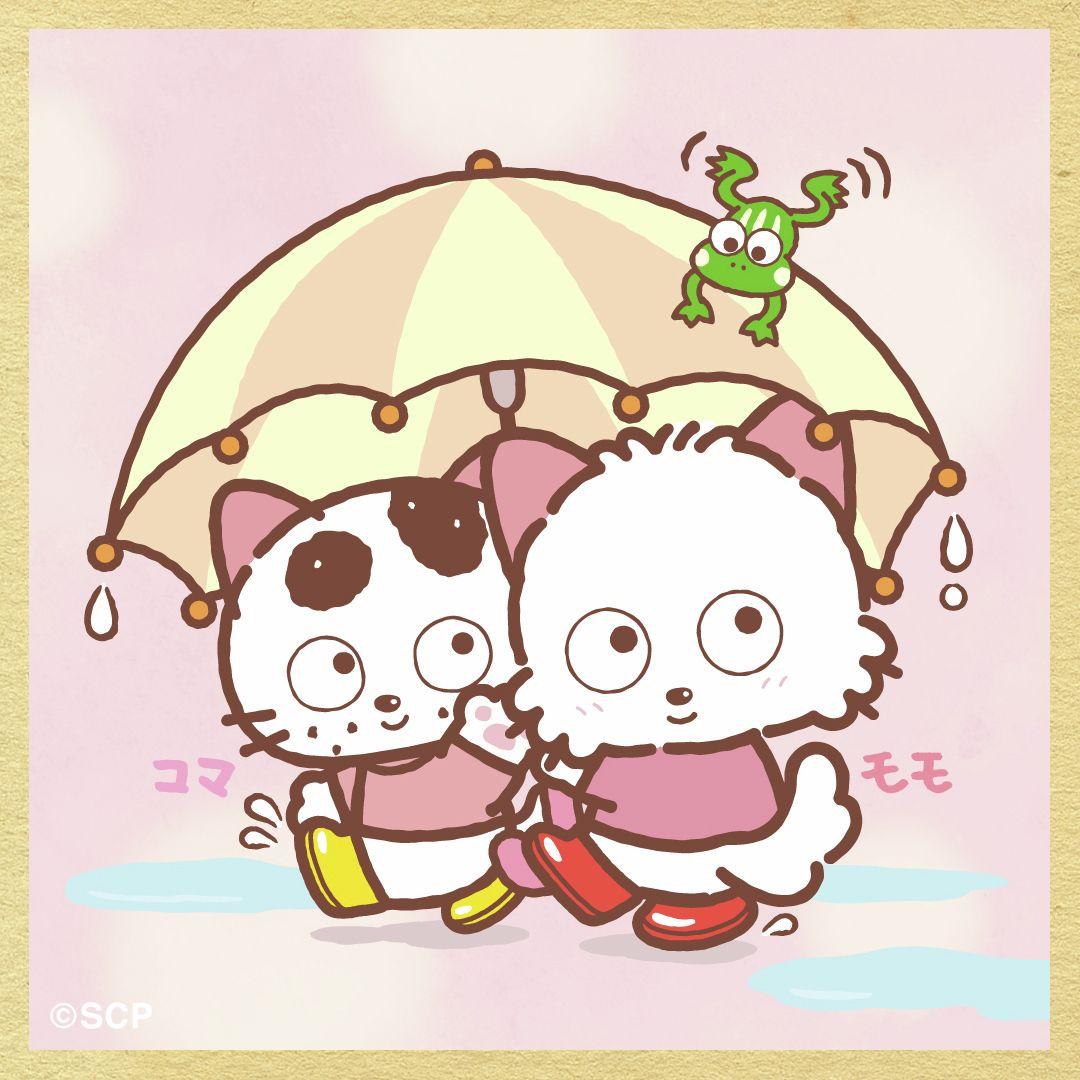 うちのタマしりませんか　正方形3