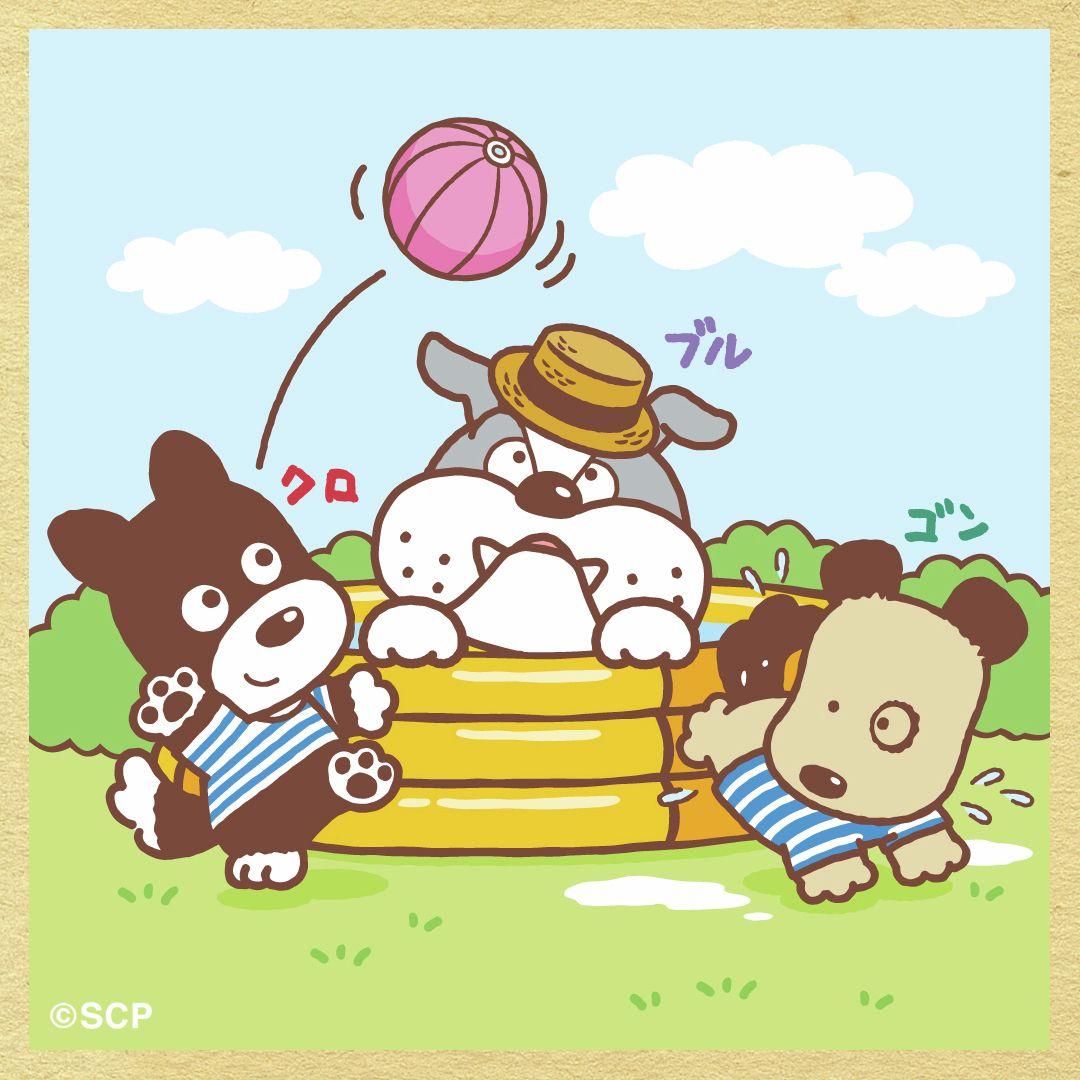 うちのタマしりませんか　正方形3