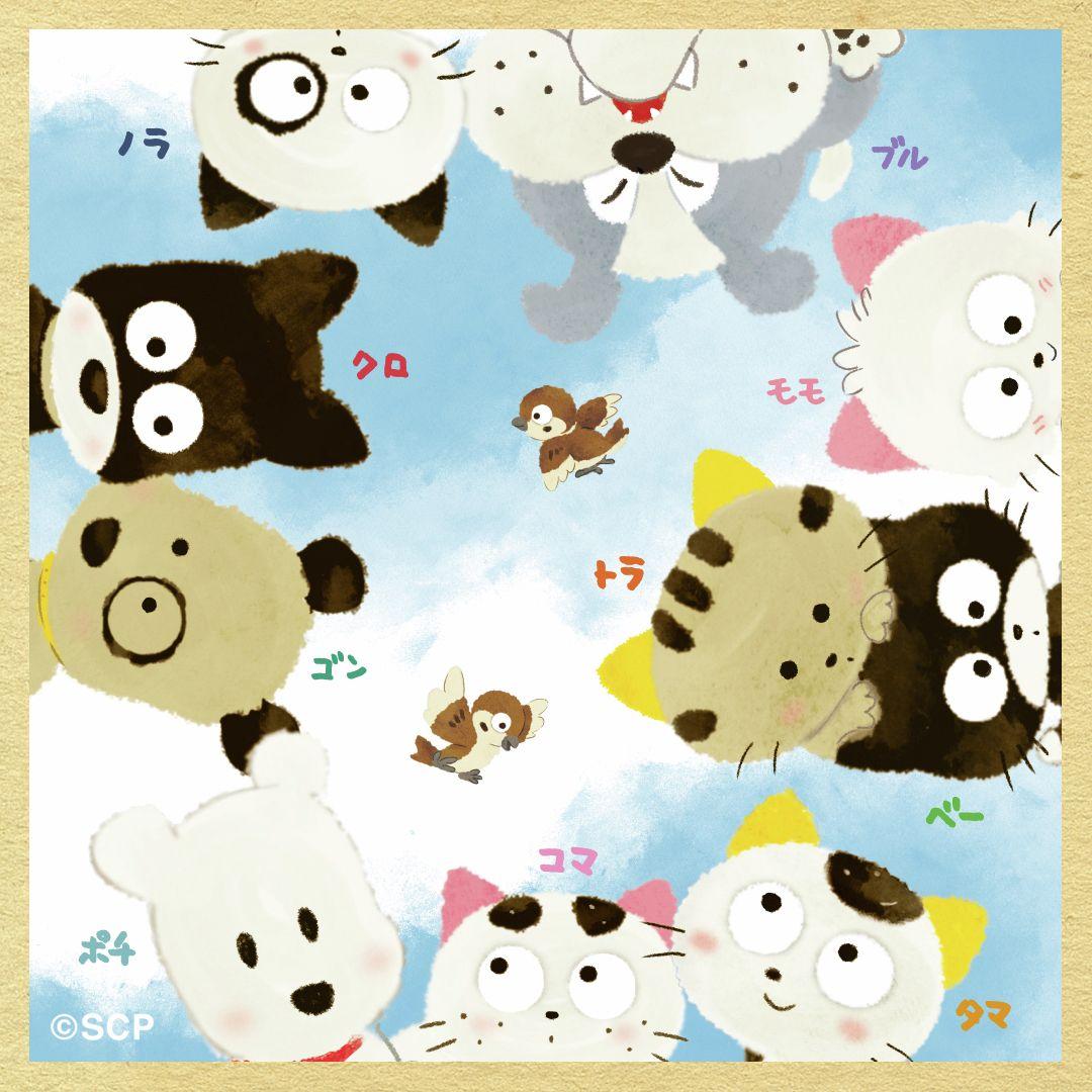 うちのタマしりませんか　正方形3