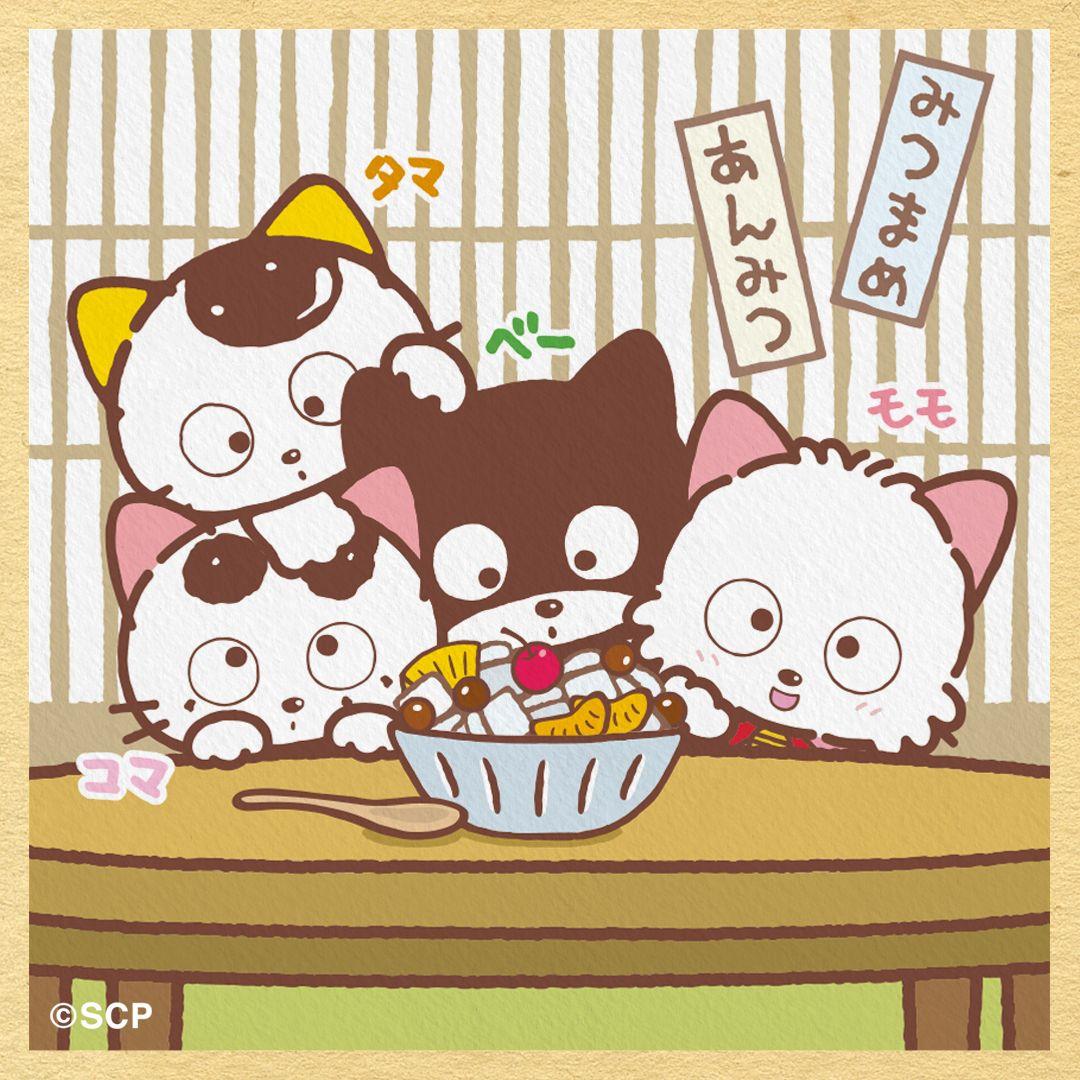 うちのタマしりませんか　正方形3